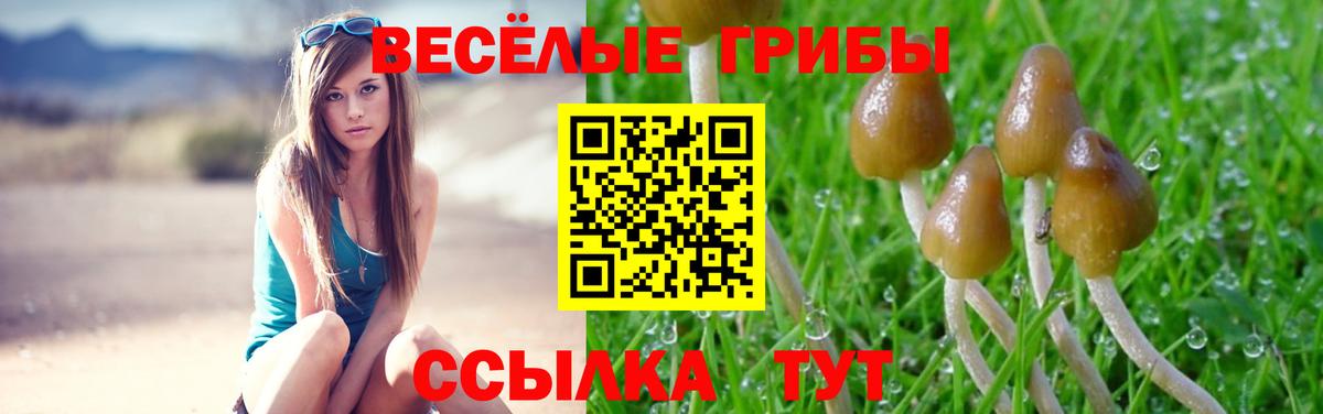Галлюциногенные грибы GOLDEN TEACHER Большой Камень